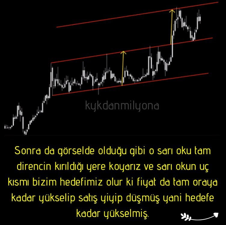 MGFİNANCE tweet media