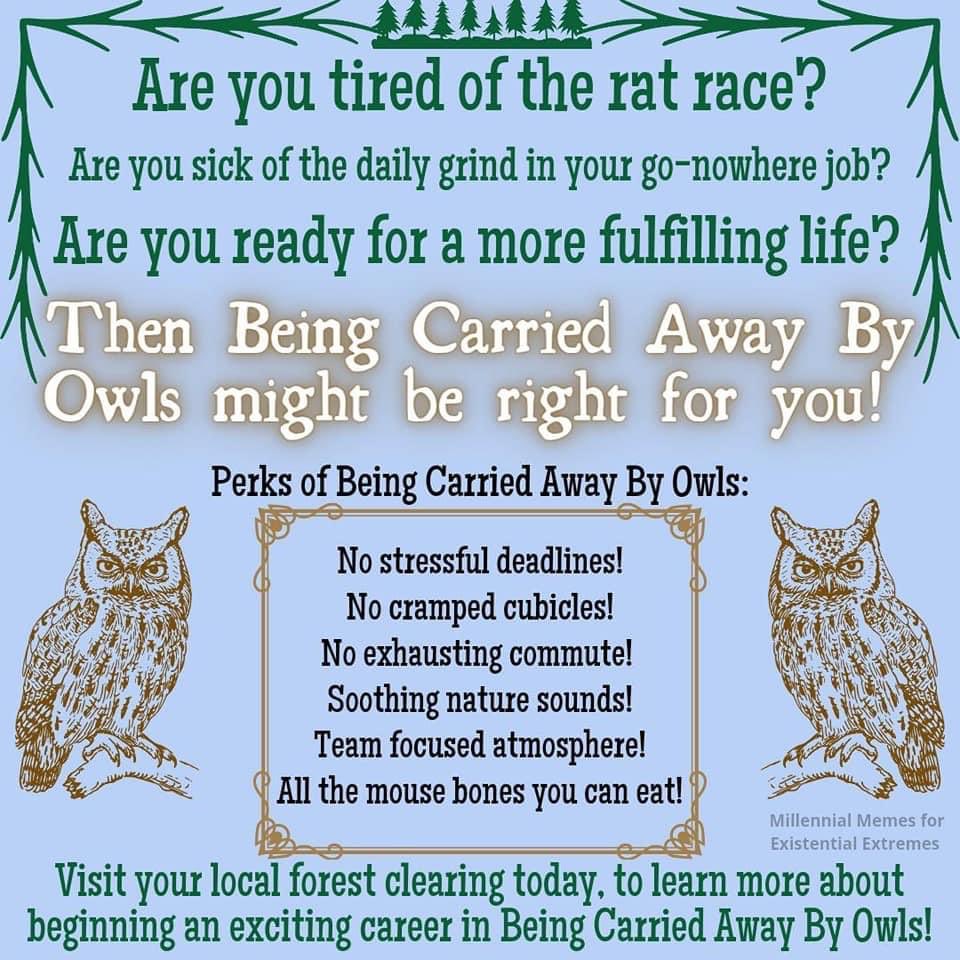 Ellen Kushner @ellenkushner.bsky.social (@ellenkushner) on Twitter photo 