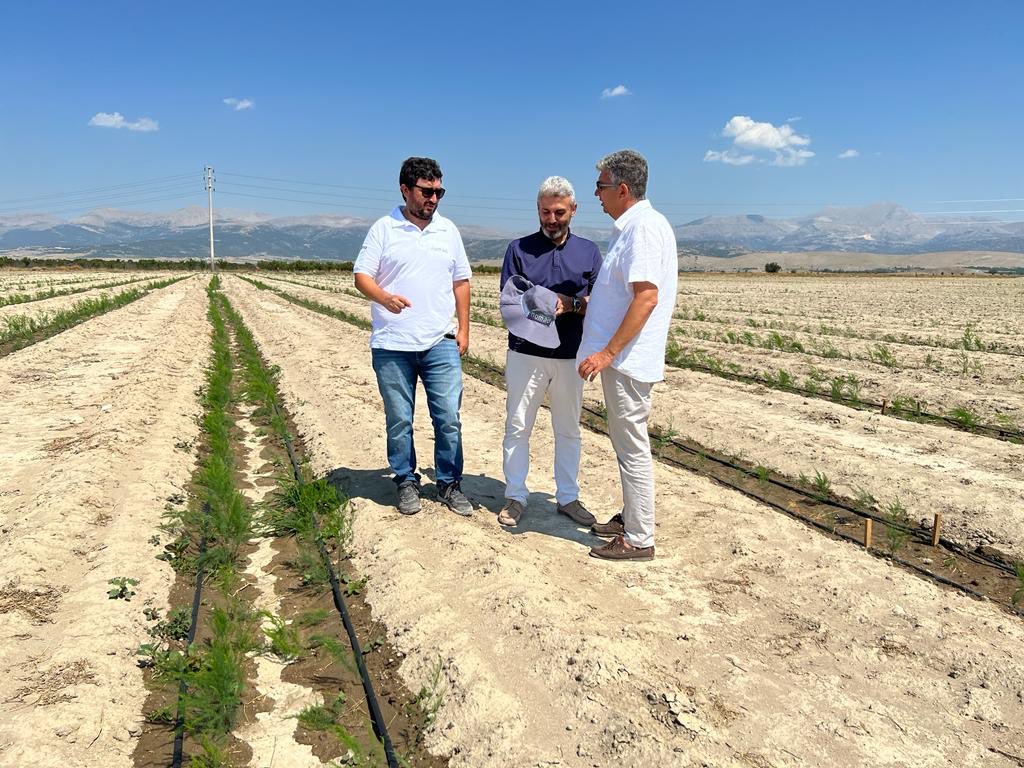 osmanD on Twitter: "Akşamki canlı yayını kaçıranlar için @fonbulucu ...