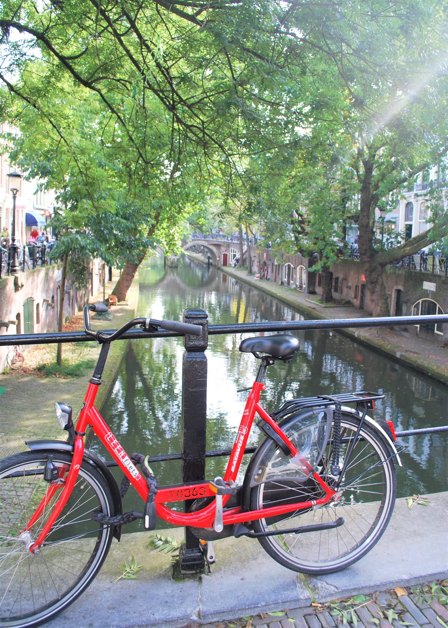 ヤンカ🍄 on Twitter