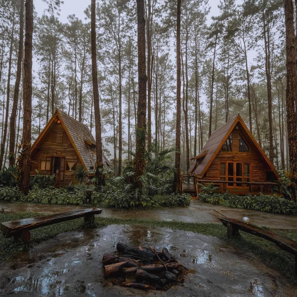 เปิดให้จองแล้ว บ้านไม้ทรงเอเฟรมกลางป่าสนเชียงใหม่..หลังละ 1,500 บ. พักได้ 4 คน ตกคนละ 375 บ. ที่สวนป่าดอยบ่อหลวง องค์การอุตสาหกรรมป่าไม้ 
เข้าพัก 1 ตุลาคม 65 - 31 มกราคม 66
เริ่มจอง 16 สิงหาคม 65 เป็นต้นไป
โทร. 09 2586 9215 และ 09 7216 9205 ( 9.00 - 17.00 น. ยกเว้นพักกลางวัน)