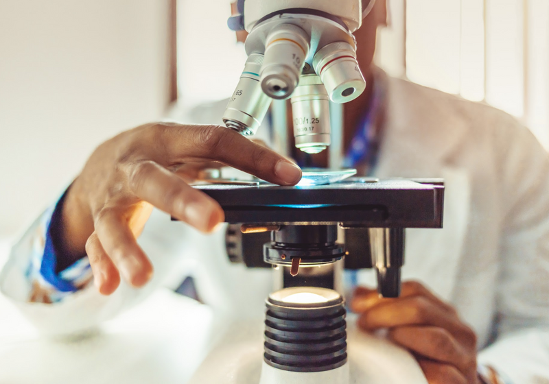 AASciences's tweet photo. Are you an early career #researcher in #Africa? Apply for the #APTI #fellowship which aims to develop Africa’s next generation of research leaders in #GlobalHealth.
Apply here: https://t.co/ePESKbET6D
Deadline: 30 September 2022
@Fogarty_NIH
@NIH
@gatesfoundation
@gateshealth https://t.co/ZHcyOgc9UW