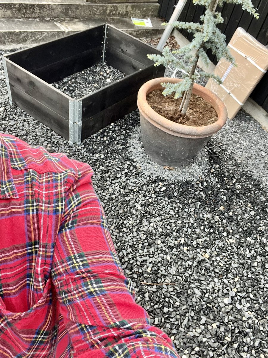 birkeland_maria's tweet image. Maria Does Stuff She Doesn’t Know (part 1) #buildingstuff #figuringshitout #allbymyself #minigreenhouse #herbgarden #idontknowwhatimdoing