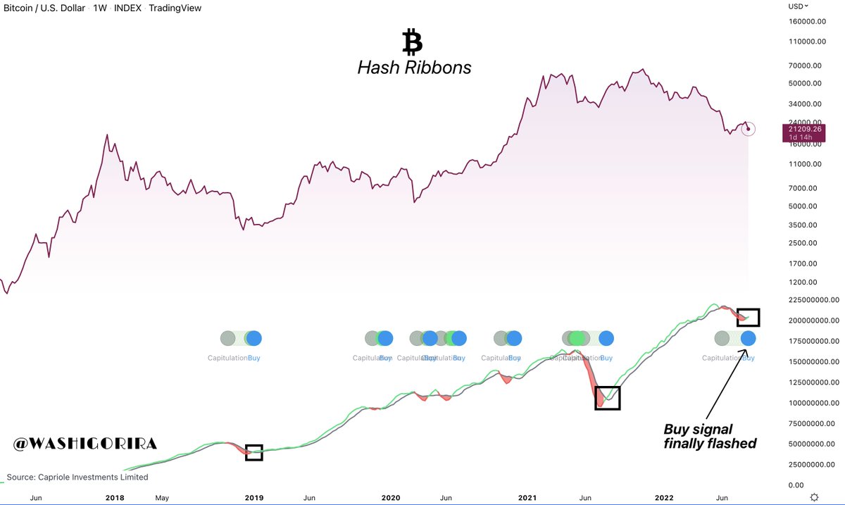 #Bitcoin Hash Ribbons 

BUY signal finally flashed for #BTC on the weekly timeframe. 

This is macro #Bullish 🚀

RT appreciated 🙏