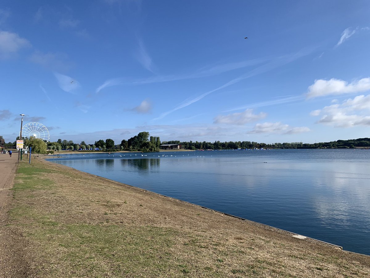 Linsey Cole tweet media