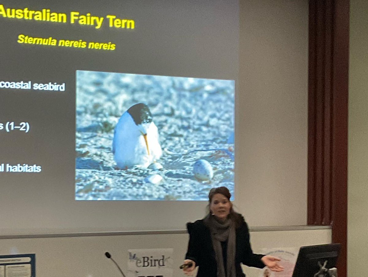 Tam Pinkerton tweet media