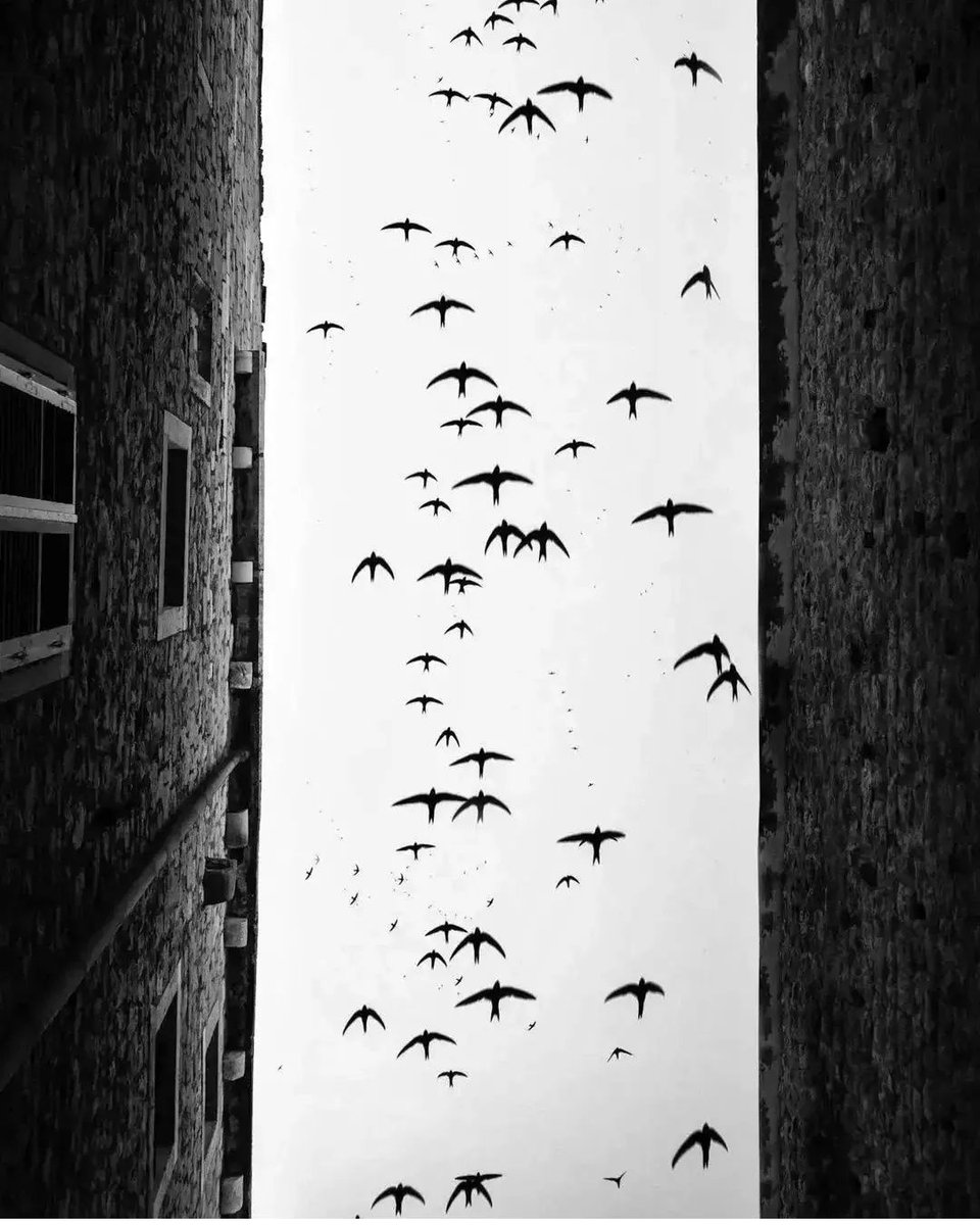 konekta_psi's tweet photo. "Freedom, freedom... You have to give for what you take." - George Michael.

Image: @moises_levy_street https://t.co/P8afZEpC6F