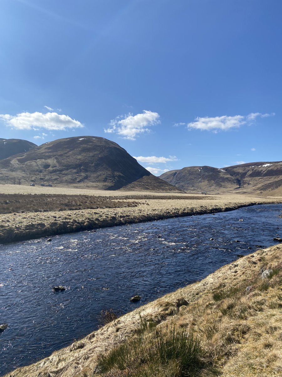Scotland - dramatic I suppose but where are the thousands of missing species that could and should be here? #EcologicalBlindness #WhereAreTheTrees