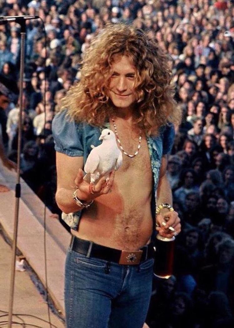 Happy birthday robert plant <3 