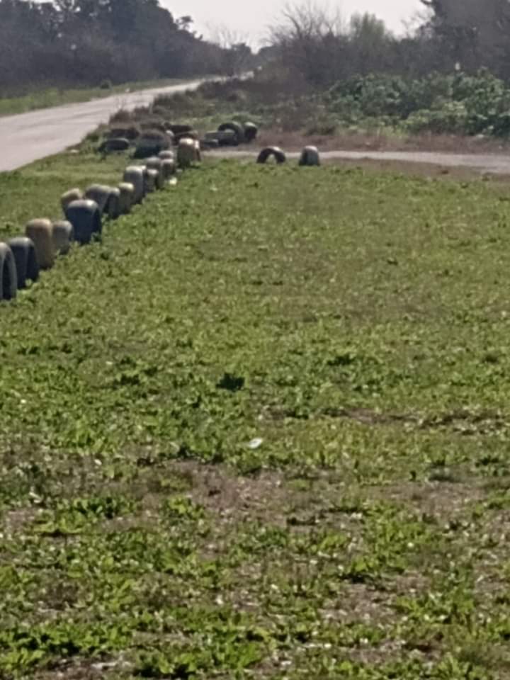 @monolito_morresi5 tweet media