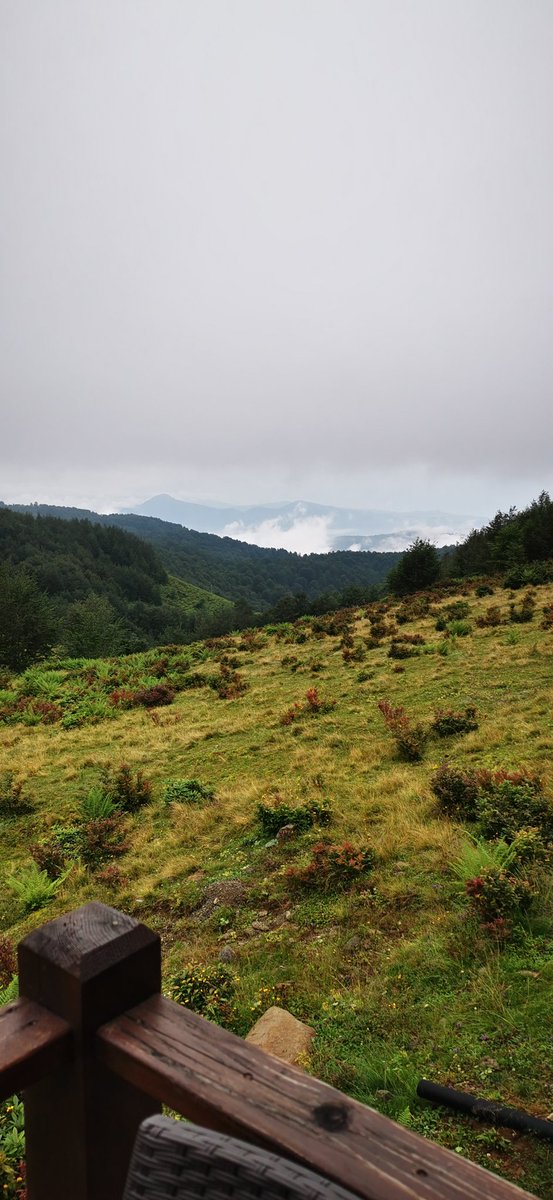Misty mountains