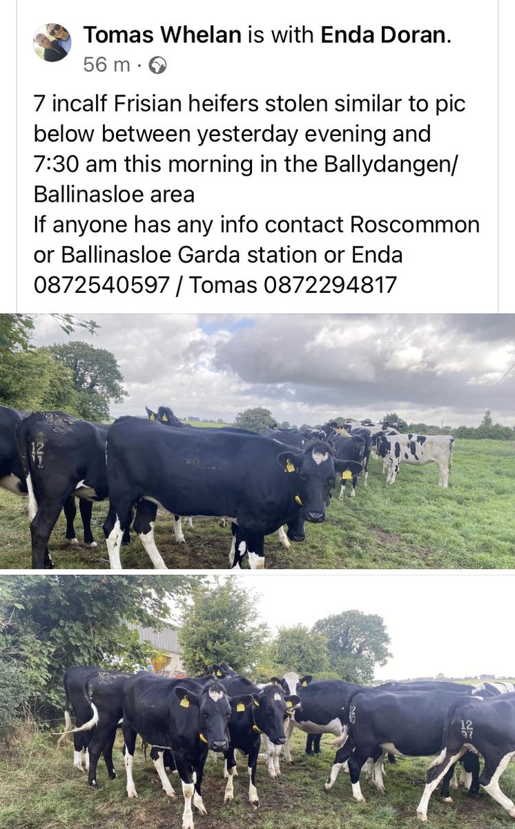 Enda Doran (@endadoran) on Twitter photo 