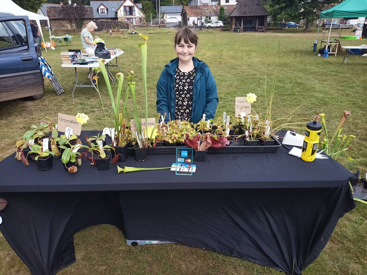 wiveycarn's tweet photo. Setting up at the wiveliscombe flower show. https://t.co/ZO6MGVTNaN