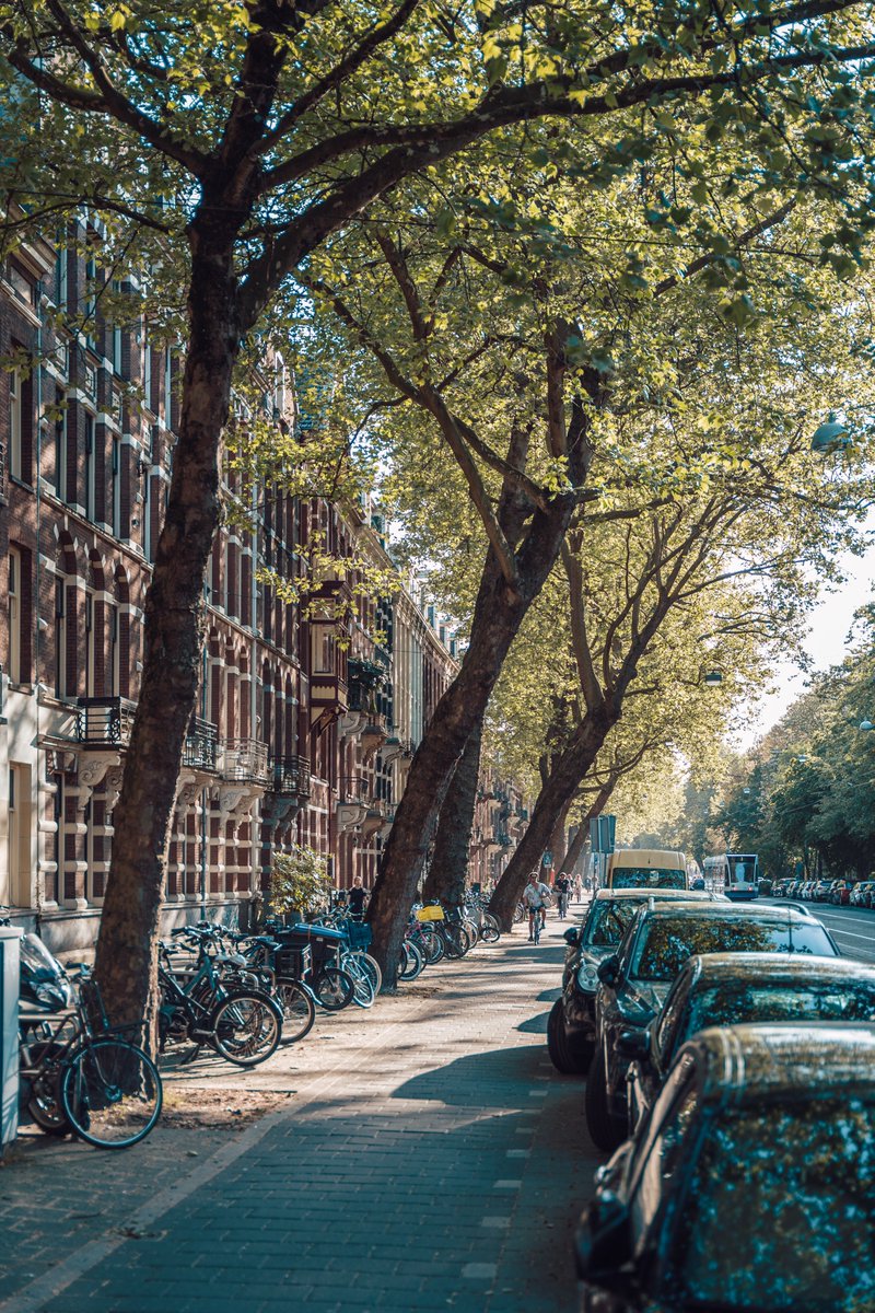 Aesthetic_City's tweet photo. Density, detail &amp; urban green. A perfect mix for a liveable city.

Amsterdam, the Netherlands https://t.co/EwREb0TLTZ