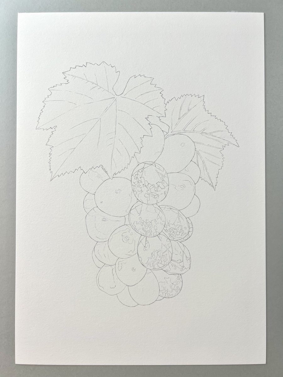 8月最後を締めくくる作品にします🍇 