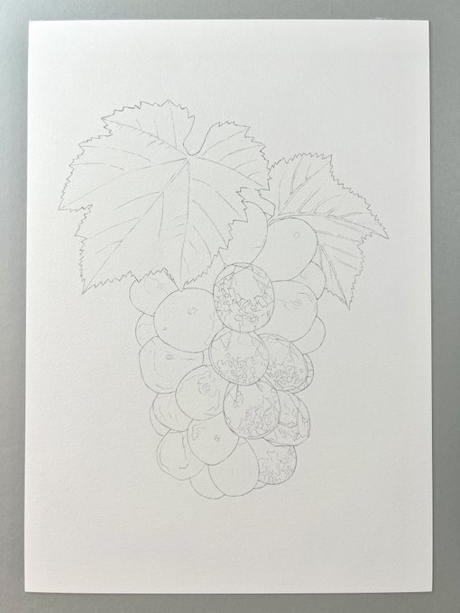 8月最後を締めくくる作品にします🍇 