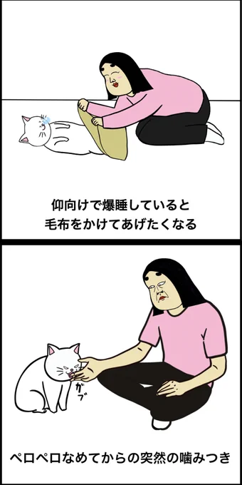 猫を飼ってる人あるある 