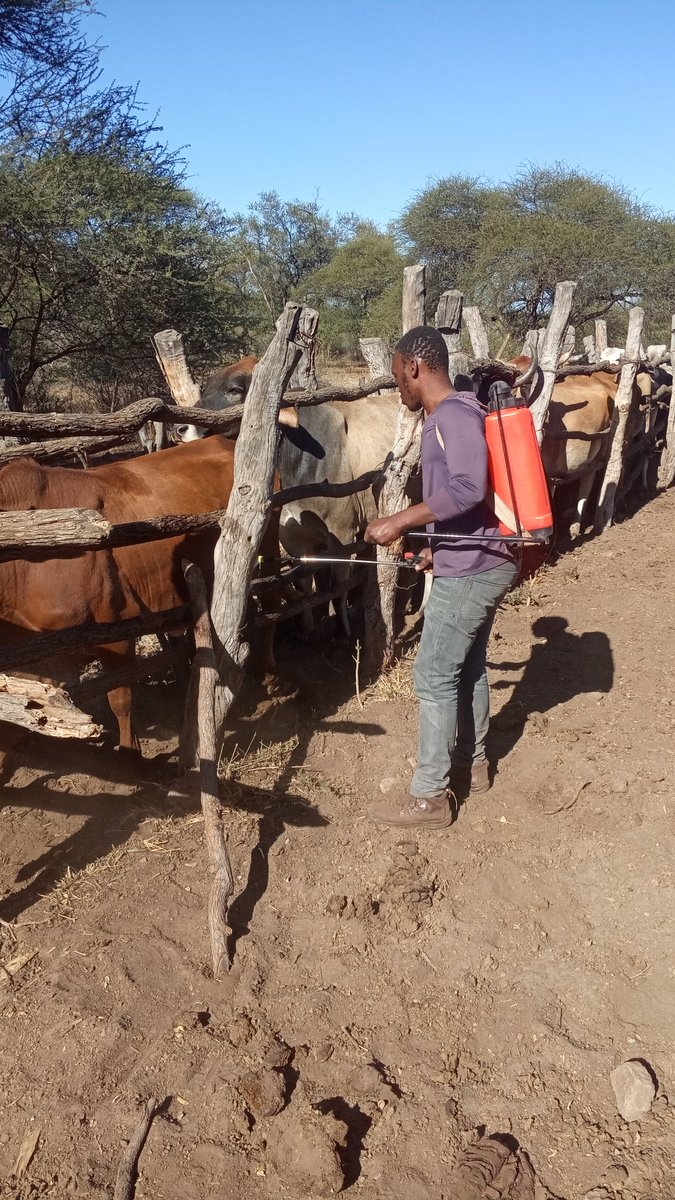 Tick disease need to be kept away