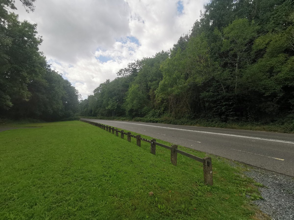 Site of the most significant ambush during the WOI in Wexford that resulted in the death of RIC constable Depree. Several homes were later destroyed by British forces in official reprisals. The flying column occupied the high ground visible on the right.
