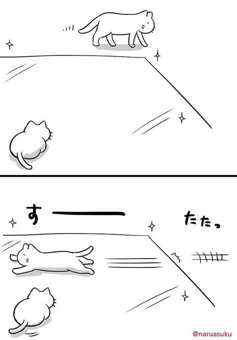 すべすべの床を見つけて遊ぶ猫 