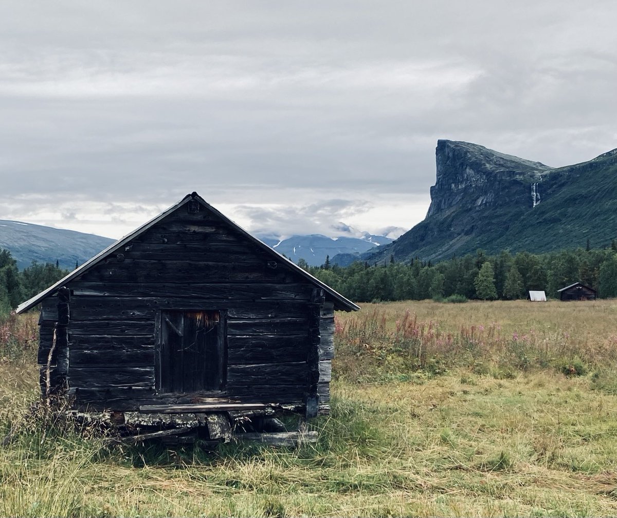 Erik Ellefsen tweet media