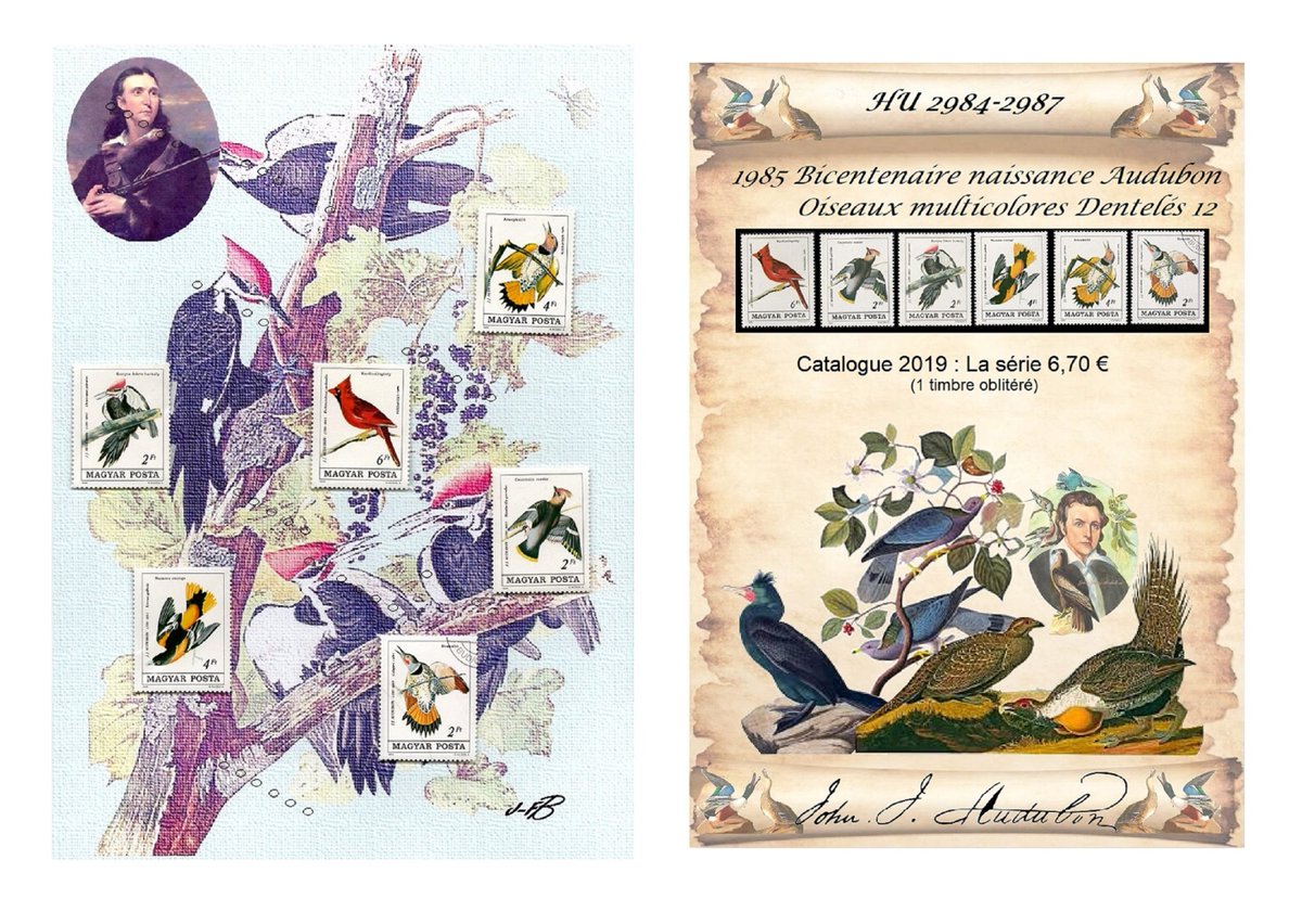 barbierjeanf's tweet photo. Audubon ornithologist and his birds, digital art print and wall decor
https://t.co/nhi35QKOpE
#Audubon #birdornithologist 
#walldecor #digitalvisualart
#Hungary1985stamp #birthdaygift 
#philatelystamp #personalizedcard 
#thankyougift #A4ArtPrint 
#vintagestamp #giftmanwoman https://t.co/ReTwGQRjc7