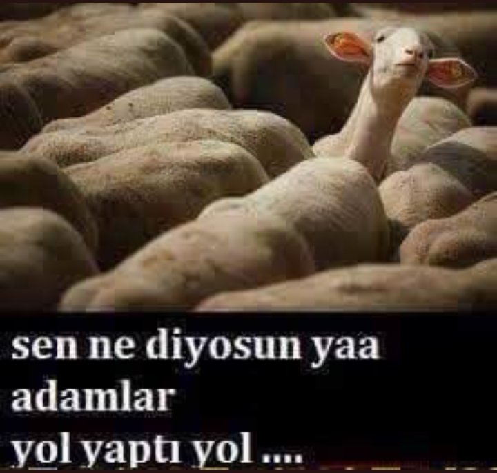 DADASDERLER25's tweet photo. @mtnslmz3435 @zaferli_genclik https://t.co/eCFu8R049S
