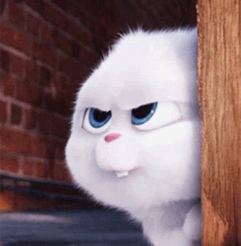 어떡해 준면이 너무 용맹토끼야ㅜㅜ!!!!!!