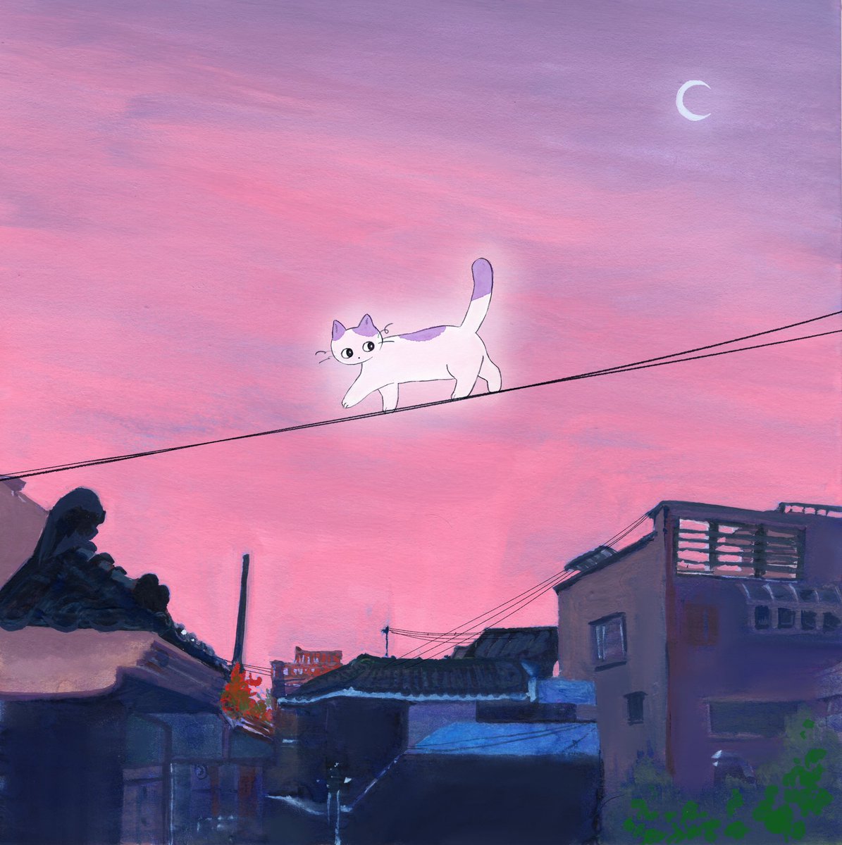 ✨