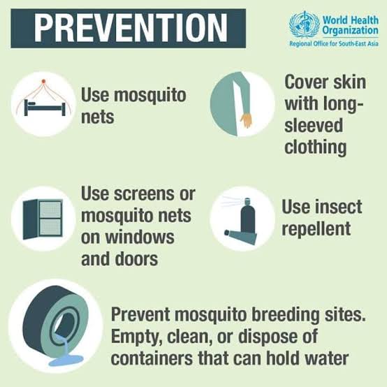 #WorldMosquitoDay  #worldmosquitoday2022 #mosquitobites