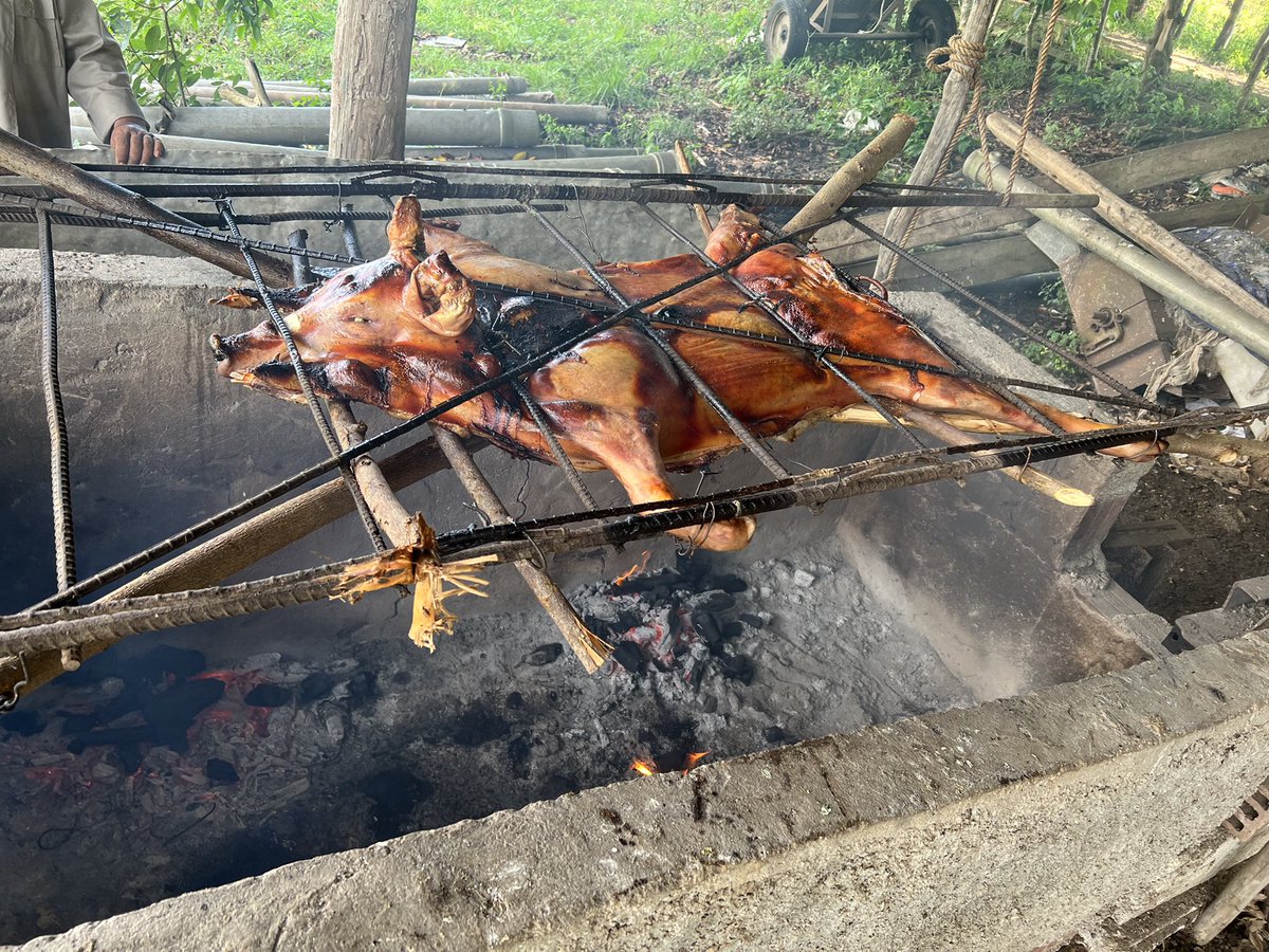Noelvys8's tweet photo. Una verdadera delicia de la gastronomía cubana: Cerdo asado 
#Cuba #Food #pork #vacationmode https://t.co/VyxCVkGBTH