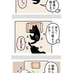 寝ようとしたら既に愛猫がそこで眠っていて、困っていると･･･!可愛くて癒されちゃう猫漫画!