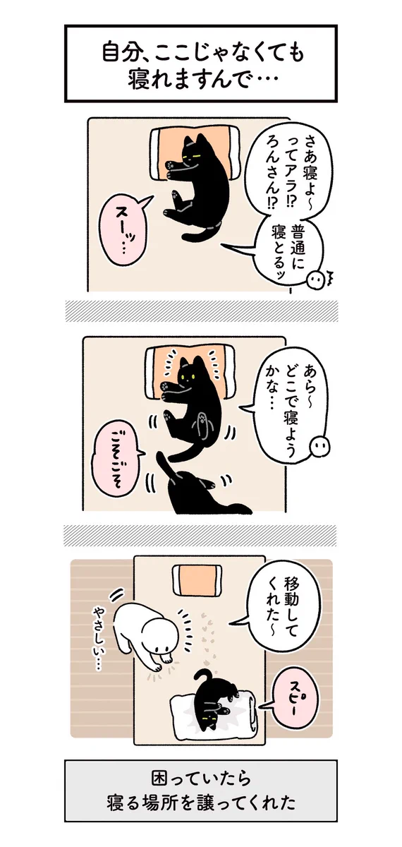 寝ようとしたら既に愛猫がそこで眠っていて、困っていると･･･！可愛くて癒されちゃう猫漫画！