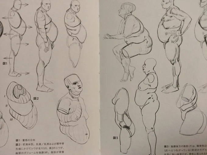 あんまり参考資料使わない(私はプロではない市井のパンなので) 絵を描きたいぞ〜ってなったら脳内の3Dモデルをグリグリしていい感じのポーズのとこで描きます それはそれとしてモルフォ人体デッサンはいい本なので読むといいです 