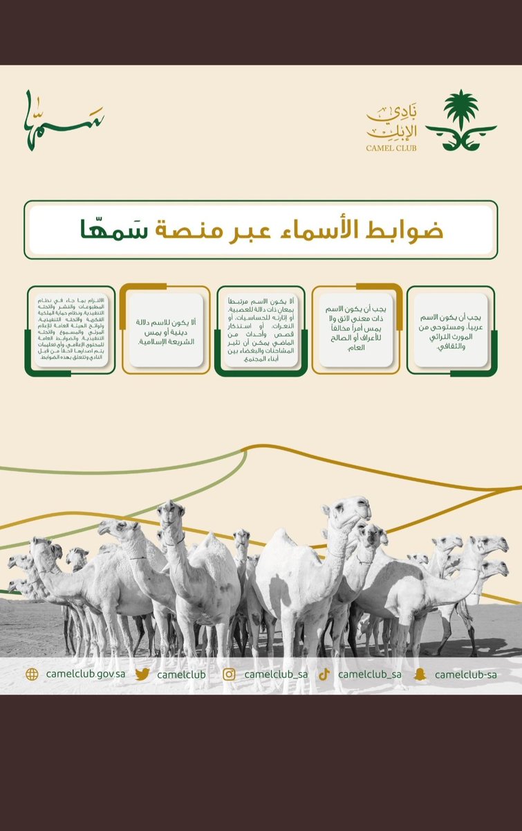 ضوابط الأسماء عبر المنصه 
لا أحد يجيب اسماء من رأسه قبل قراءة هالضوابط 👇