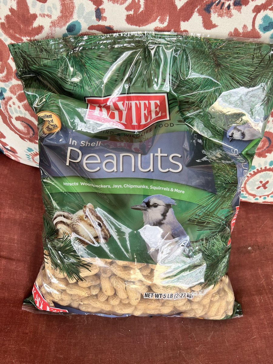 SkittlesFriends's tweet photo. Sammy the Squirrel: Hello Everyone, Iโm โhanging outโ waiting for the Big Guy to open up that delicious bag of peanuts I see on the Catico Lounger ๐ฅ๐ฅ
I hope that everyone has a safe and wonderful #Saturday ๐
#HungrySquirrel
#KindnesstowardsAnimals
#NaturePhotography https://t.co/APLQ9xpDJe