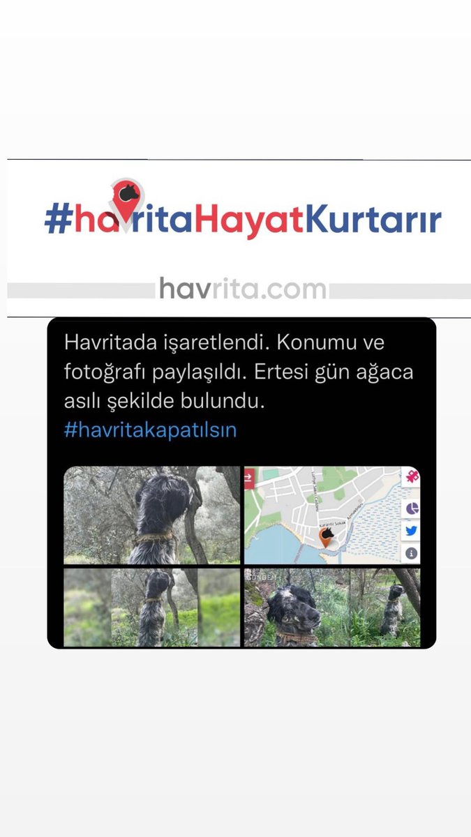 #HavritaKAPATILSIN yetmez, bu uygulamayı geliştiren, yer bildirip paylaşım yapan herkesin yargılanması gerekir.