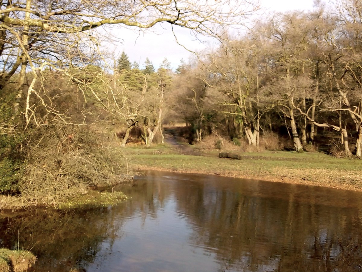 Little Cottage tweet media