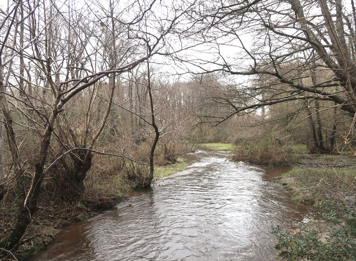 Little Cottage tweet media