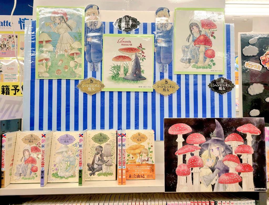 昨日書店まわりに行かせてもらった 書店さん② アニメイト大阪日本橋店