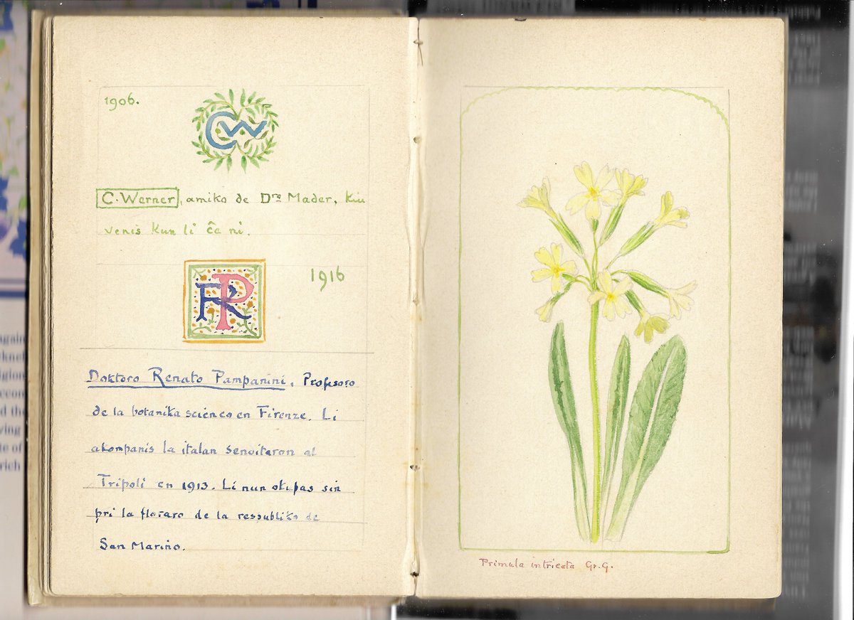 C. Werner in Clarence's Book of Guests in Esperanto No. 23, 1906 might be Carl Friedrich Wilhelm Werner, son of the famous watercolourist with a similar name Carl Friedrich Heinrich Werner (1808–1894)
Read more at clarencebicknell.com/c-werner-1906/