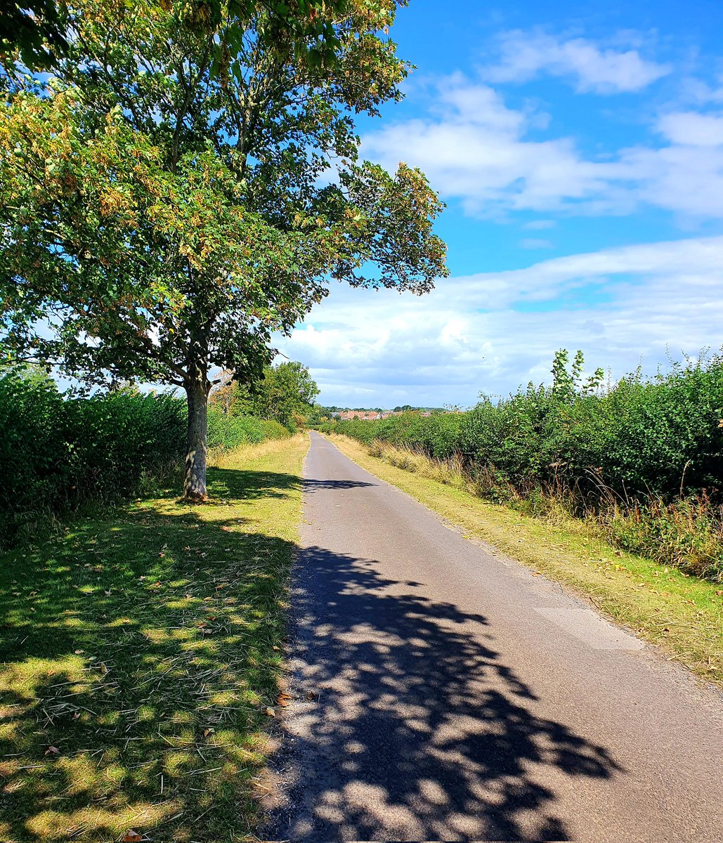 hjgough's tweet photo. Back on the #SlowWays trail, this time reviewing Langport to Somerton (LanSom). Nice and flat across The Levels #Langport #Somerton #Somerset #TheLevels #DogsUsingSlowWays https://t.co/69K9fHYLJS