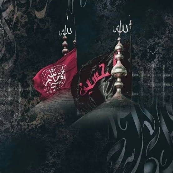 _azadareHussain's tweet image. خنجر نہ کبھی چلتا ہائے شہہ کے گلے پر
بازو جو اگر ہوتے عباس کے تن پر 😭