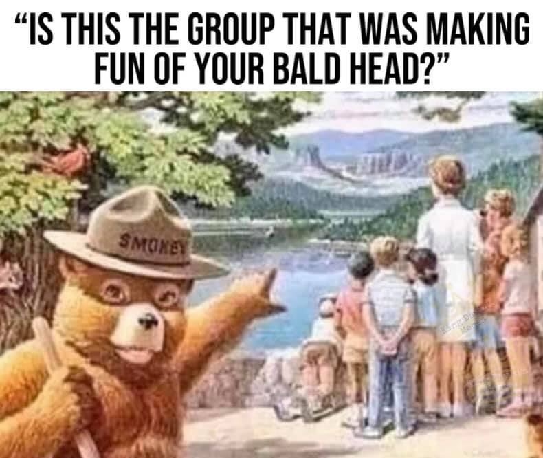 thenotthebible's tweet image. 