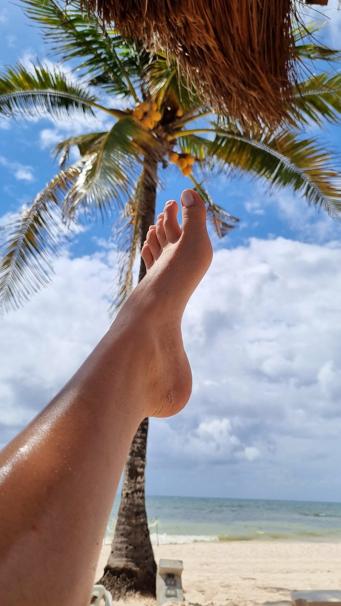 latinatoesies's tweet photo. Te gusta fantasear con 👣🔥
En esta cuenta encontrarás un poco de contenido
¡Sígueme! https://t.co/WplKxZed2x