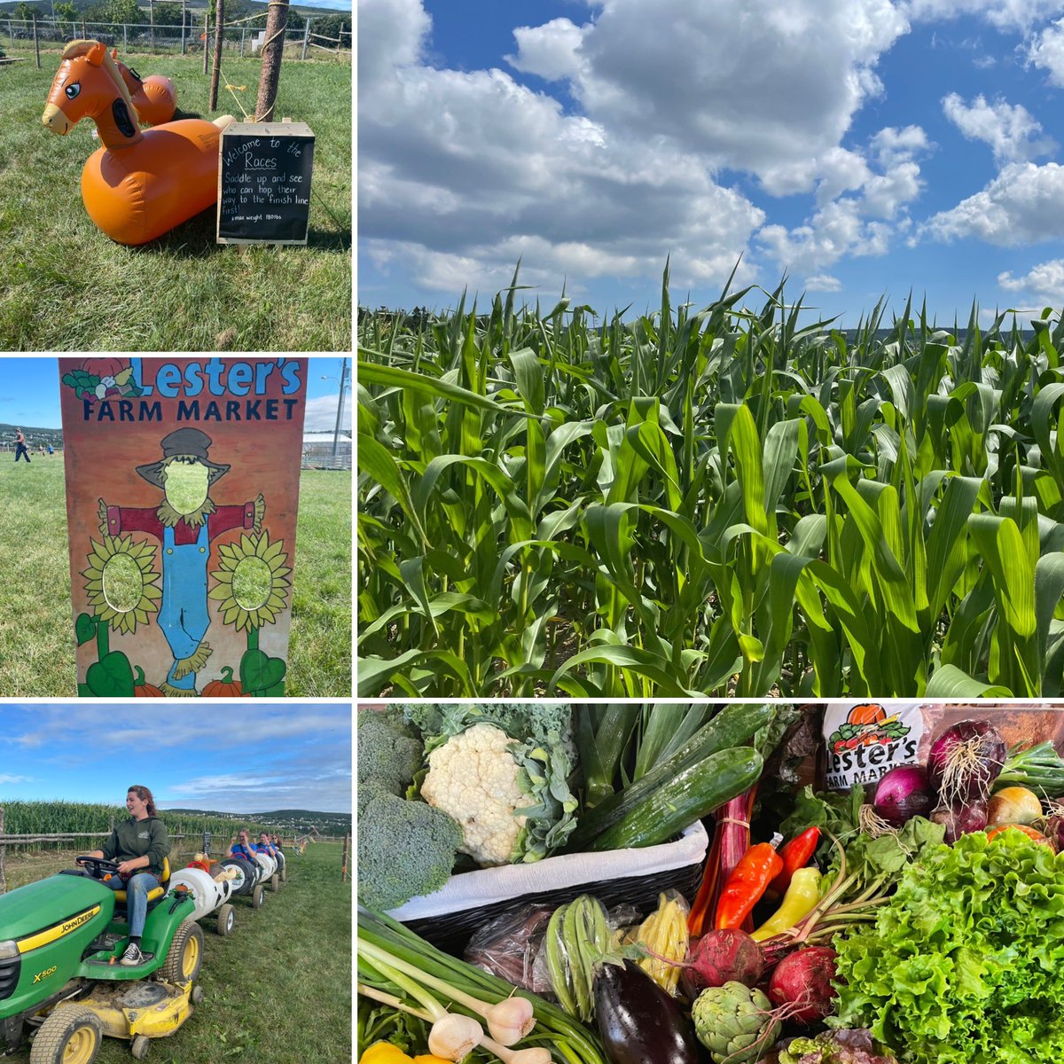 Lots of fresh veggies and farm fun at 173 Brookfield Road!