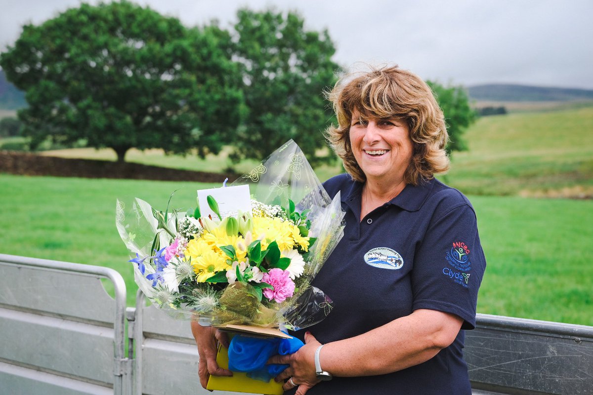 Sheepdog Editor tweet media