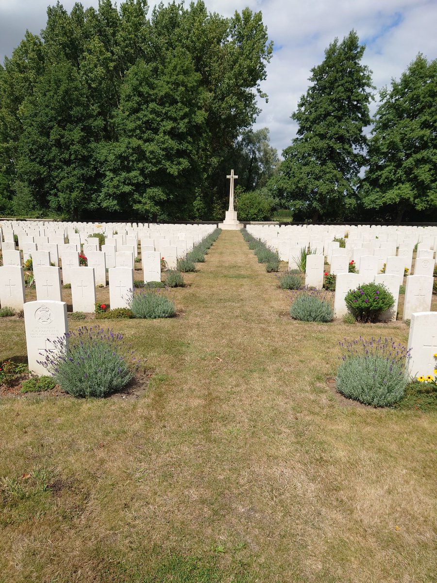 Lavender pathway at the very peaceful @cwgc Guards Cemetery, Windy Corner  in Cuinchy.