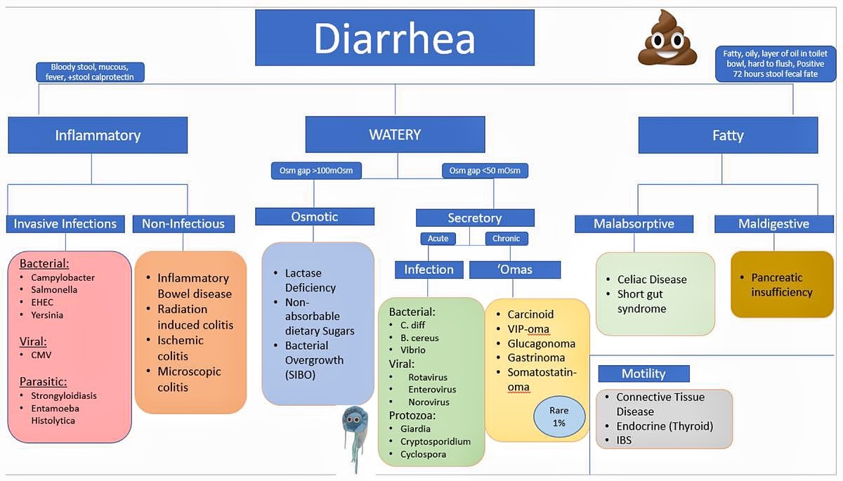 BrownJHM's tweet photo. Diarrhea approach framework @BostonChiefs #BJHM #MedEd #FOAMed #GItwitter #diarrhea #familymedicine https://t.co/Yc805wm0pH