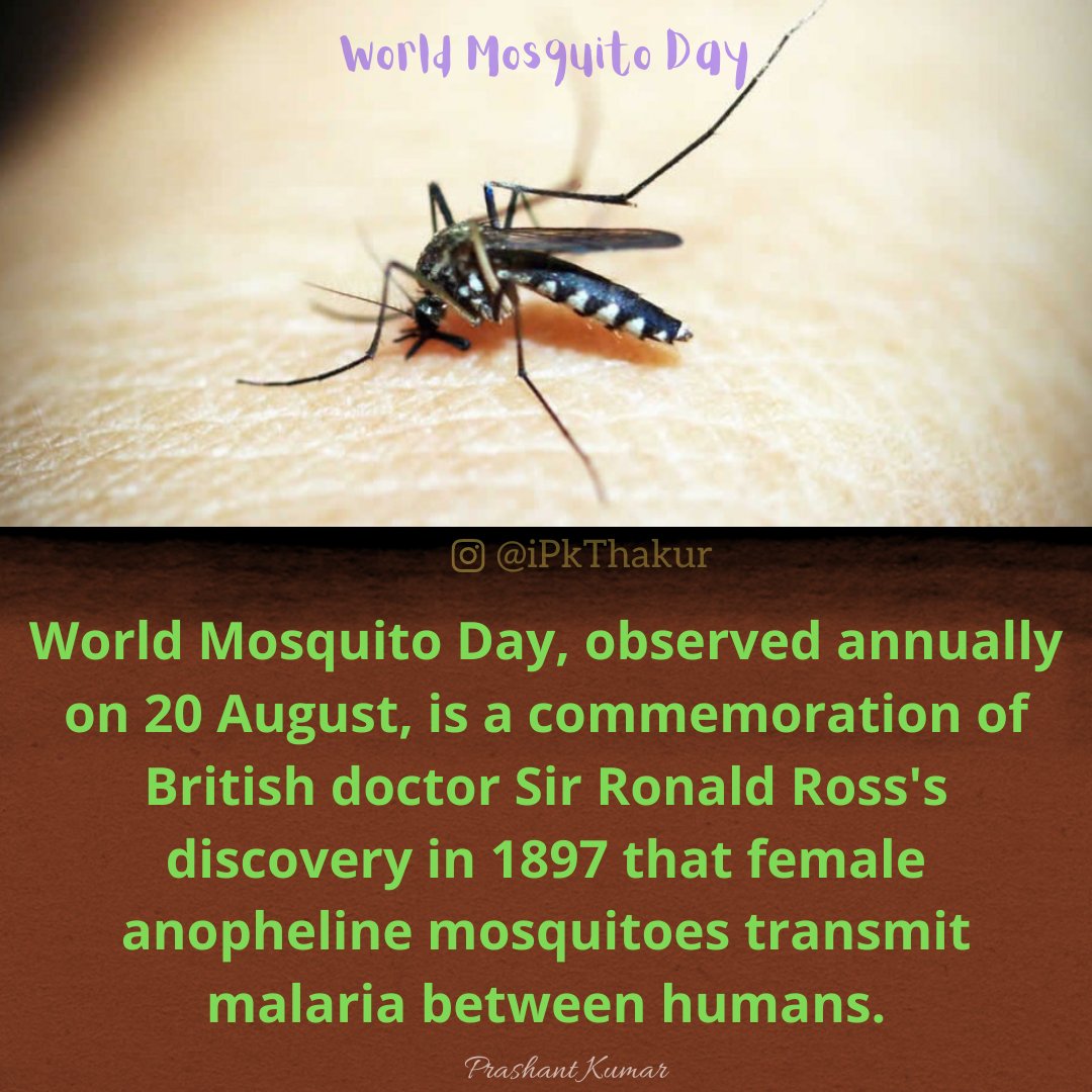 #WorldMosquitoDay #worldmosquitoday2022